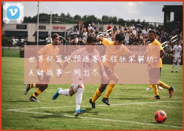 世界杯篮球预选赛赛程独家解析：关键战事一网打尽