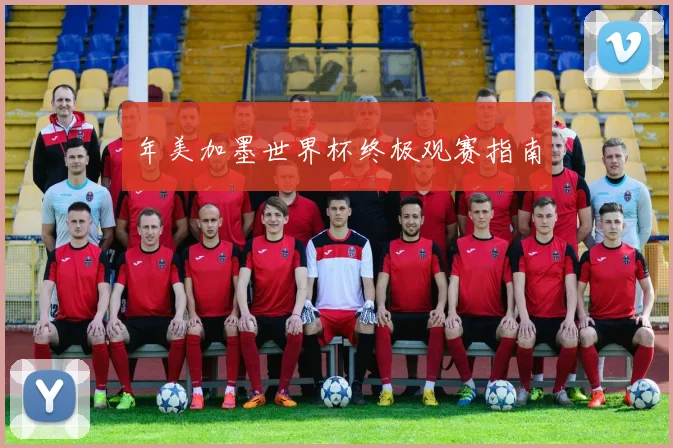 年美加墨世界杯终极观赛指南