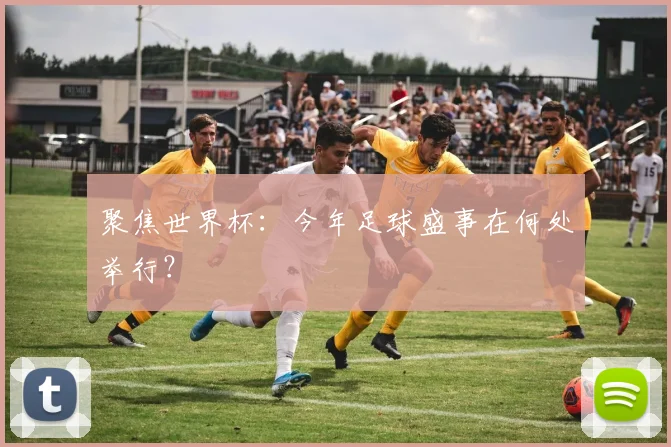聚焦世界杯:今年足球盛事在何处举行?
