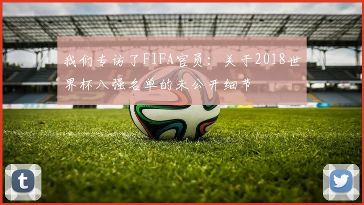 我们专访了FIFA官员：关于2018世界杯八强名单的未公开细节