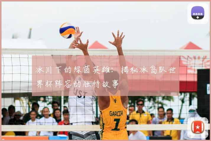 冰川下的绿茵英雄：揭秘冰岛队世界杯阵容的独特故事