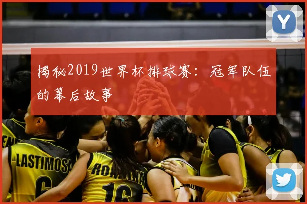 揭秘2019世界杯排球赛：冠军队伍的幕后故事