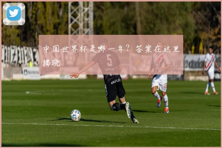 中国世界杯是哪一年？答案在这里揭晓
