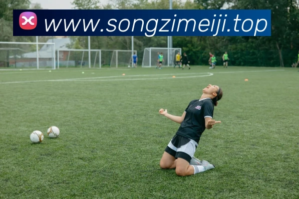 mksports官网登录入口平台生态图