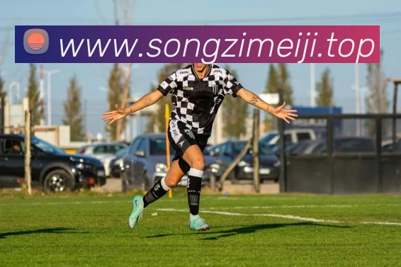 mksports官网登录入口全站App